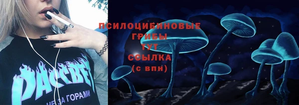 гашик Армянск