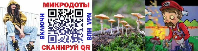 Галлюциногенные грибы ЛСД  купить наркоту  MEGA зеркало  Волгодонск 