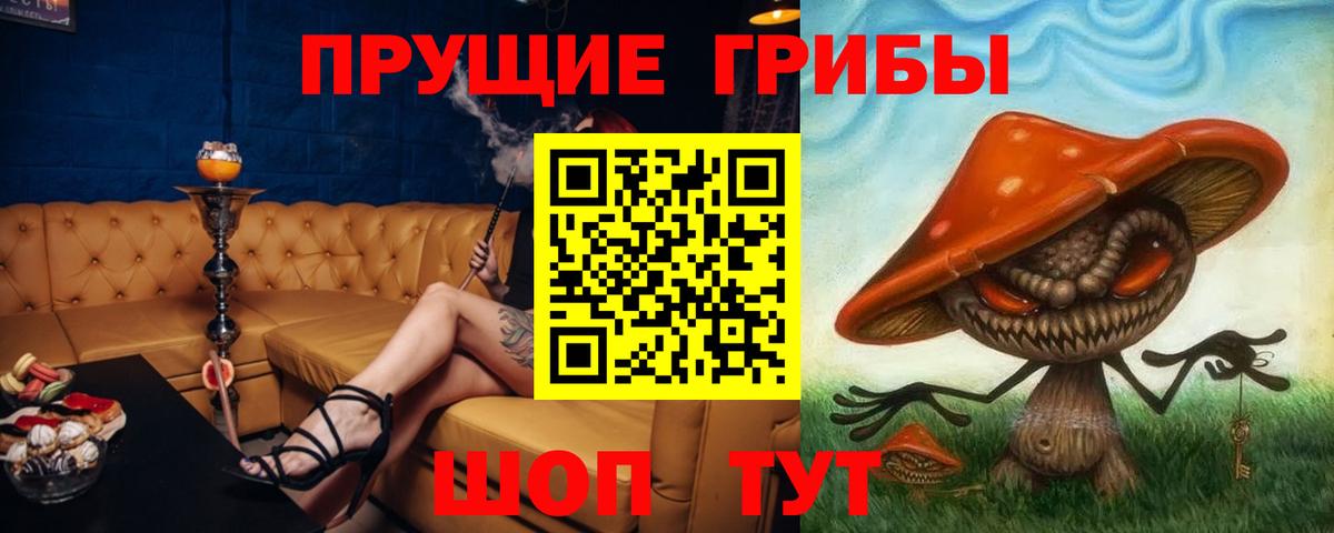 Волгодонск  Галлюциногенные грибы Cubensis  Вход с VPN 